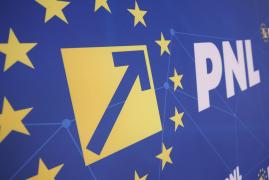 PNL exclude din start un guvern alături de PSD. "Criză politică, rezultatul unor politici promovate de PSD"