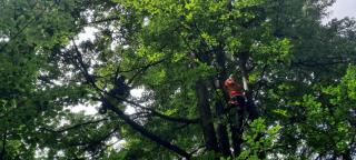 A rămas agățată cu parapanta în copac. A fost coborâtă de la 10 metri de salvamontiștii din Brașov