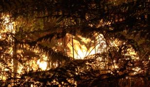 Pădurea Fontainebleau de lângă Paris, cuprinsă de un incendiu violent. 2 bombardiere cu apă, mobilizate