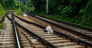 Pericol pe calea ferată la Constanța. Un bolovan pus pe șine a afectat circulația trenurilor