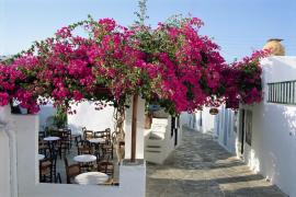 Insula Sifnos devine cea mai de succes destinaţie pentru turismul din Grecia