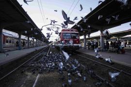 Trenul internaţional cu ruta Budapesta – București s-a oprit în câmp. Locomotiva s-a stricat în timpul cursei