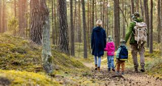 5 drumeții ușoare de o zi în Carpați, perfecte pentru familii  cu copii mici