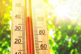 Oraşele din România unde temperatura resimţită la ora 13 a fost de 40 de grade la umbră