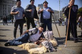Ciobanii amenință că vor protesta din nou la București cu remorci cu bălegar și cisterne cu lapte