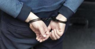 Bărbat din Mureş, reţinut după ce a împuşcat mortal o pisică cu o armă cu aer comprimat