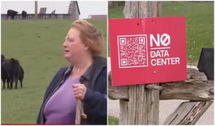 Au refuzat fără să clipească 26 mil. $ de la un gigant AI. Voia să le ia ferma pentru un centru de date  