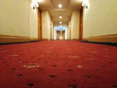 De ce n-ar trebui să mergem desculţi pe mocheta din camerele de hotel. Mărturia unei inspectoare