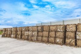 Fabrică de reciclare cu bani din PNRR, deschisă la Buzău. Ce se va întâmpla cu sticla colectată