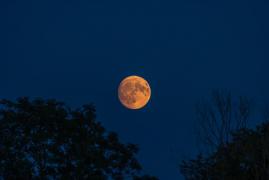 Luna Sturionului şi eclipsa de Lună pe 28 august. Ce vom vedea pe cerul nopţii