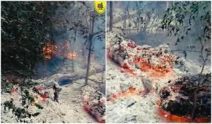 Incendiu în pădurea din Plauru. Localnicii spun că a pornit după prăbușirea unei drone, MApN verifică