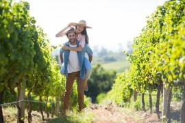 Top 7 destinații pentru iubitorii de vin. Ce crame din Europa oferă experiențe de neuitat pentru turiști