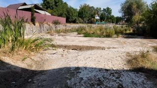 Schimbările climatice au adus 26 de zile cu temperaturi periculoase în România în această vară
