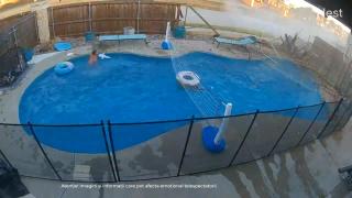 3 copii, la un pas de moarte după ce o mașină a spulberat gardul casei. S-a oprit lângă piscina în care erau