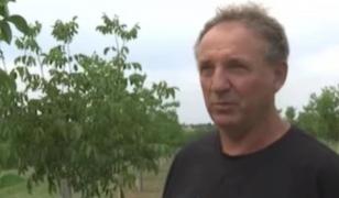 Afacerea cu care speră o familie să dea lovitura. Au investit peste 300.000 € după ani munciţi în străinătate