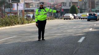 Un şofer a fost amendat pe A1 după ce i-a sărit un porc din maşină