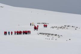 Locuri de muncă în Antarctica, cu salarii de peste 110.000 de dolari. Şi românii pot aplica
