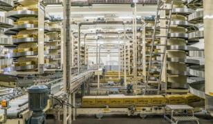 O nouă fabrică se deschide în România. Gigantul olandez are putea angaja 250 de muncitori