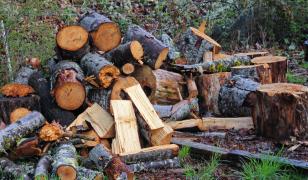 Județul în care sute de familii și persoane singure vor primi lemne gratis pentru încălzire