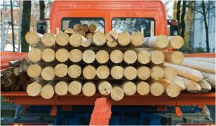 Cum a ajuns un mort să fie şofer în 122 transporturi de lemn. Caz inedit, descoperit de jandarmi în Dâmboviţa