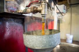 Compania care nu a concediat niciun angajat de aproape 100 de ani. Cum vrea să treacă şi de revoluţia AI