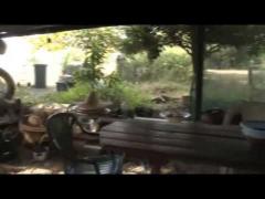 Un fost milionar trăiește singur pe o insulă pustie de peste 20 de ani