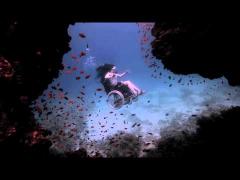 Lecţie de viaţă! Practică scuba diving din scaunul cu rotile