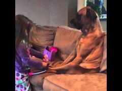 Imagini care fac înconjurul lumii: Un câine dovedeşte că răbdarea este de aur, după ce este “consultat” de o fetiţă adorabilă (VIDEO)