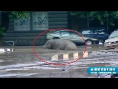 Inundaţii masive în Georgia: 12 morţi şi zeci de dispăruţi la Tbilisi