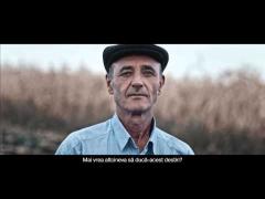 VIDEO-ul ANULUI! Trupa Queen, varianta moldovenească