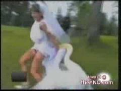 COŞMARUL unei mirese! A fost atacată de o lebădă. Video SAVUROS!