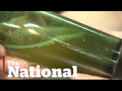 A găsit în apele mării o sticlă de bere veche de 120 de ani. Ce era înăuntru i-a ŞOCAT pe toţi