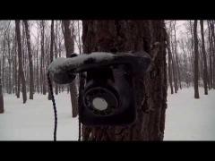 Documentarul "Pădurea", despre vizita fostului preşedinte Iosip Broz Tito în România, are premiera pe 28 mai