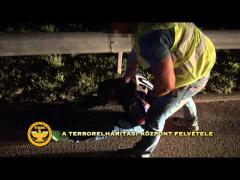 Alţi patru români, reţinuţi de poliţia ungară pentru trafic de persoane