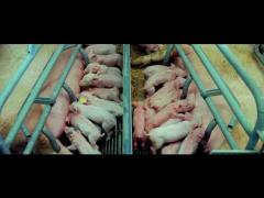 IMPRESIONANT! Videoclipul de şase minute care te va ului