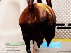 Clipul care o să îţi taie pofta de cheeseburgeri! Ce se întâmplă când ajunge în stomacul tău