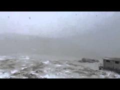 A NINS în România la jumătatea verii!