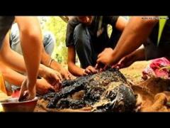 VIDEO EMOŢIONANT! Un câine "pietrificat" a fost salvat după două zile de efort continuu