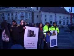 Protest la Sibiu faţă de modul în care s-a intervenit în cazul ursului împuşcat: ”Opriţi-vă! Nu eu sunt animalul!” (VIDEO)
