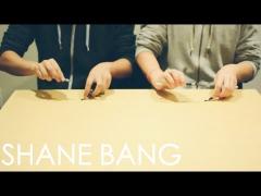 VIDEO de senzaţie! Performanţă artistică în trei paşi: birou, degete şi pixuri