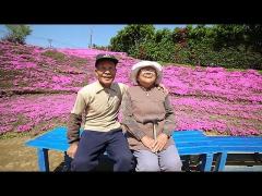 Poveste de dragoste EMOŢIONANTĂ: A petrecut doi ani de zile plantând mii de flori parfumate pentru ca soţia lui oarbă să le poată mirosi (FOTO + VIDEO)