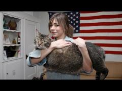 Pisica uriaşă ce cântăreşte cât un câine şi are lungimea unui copil de 3 ani!