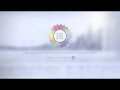 Canadienii îi iau peste picior pe ruşi. VIDEO: "Jocurile au fost mereu puţin gay!"