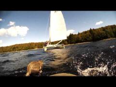 VIDEO! Au ieşit să navigheze pe lac şi nu le-a venit să creadă ce au găsit în apă