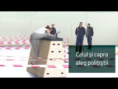 Calul şi capra aleg poliţiştii, Ştirile bizare ale zilei, Ţeapă online. Observator cu Iuliana Pepene