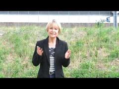 Sâmbăta Neagră, o zi de neuitat pentru francezi! 53 de morţi, dintre care 44 COPII