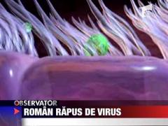 Roman rapus de virus