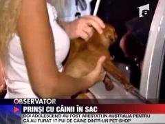 Prinsi cu cainii in sac