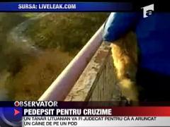 Pedepsit pentru cruzime