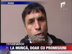 La munca, doar promisiuni
